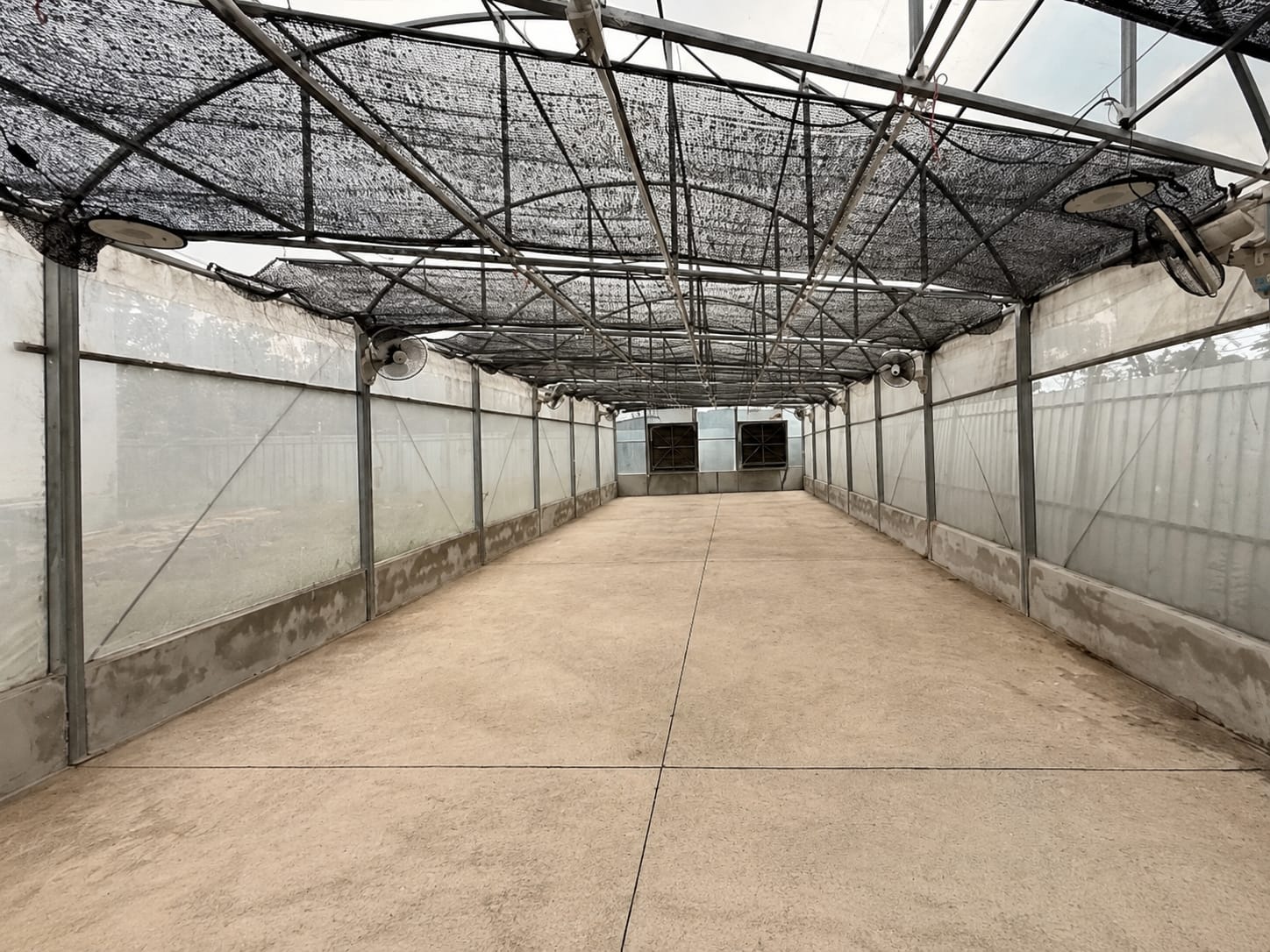 Greenhouse tunnel interior with ventilation fans